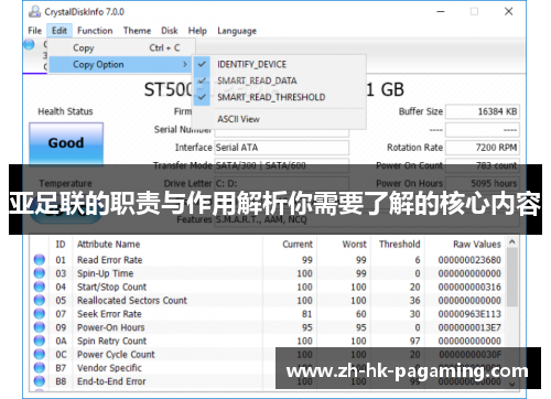 亚足联的职责与作用解析你需要了解的核心内容