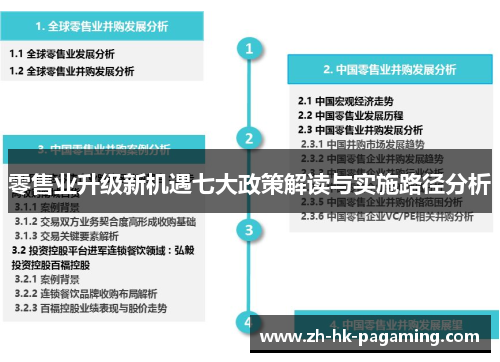零售业升级新机遇七大政策解读与实施路径分析