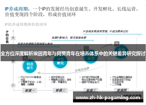 全方位深度解析埃因青年与阿贾青年在培养体系中的关键差异研究探讨 全方位深度解析埃因青年与阿贾青年在培养体系中的关键差异研究探讨